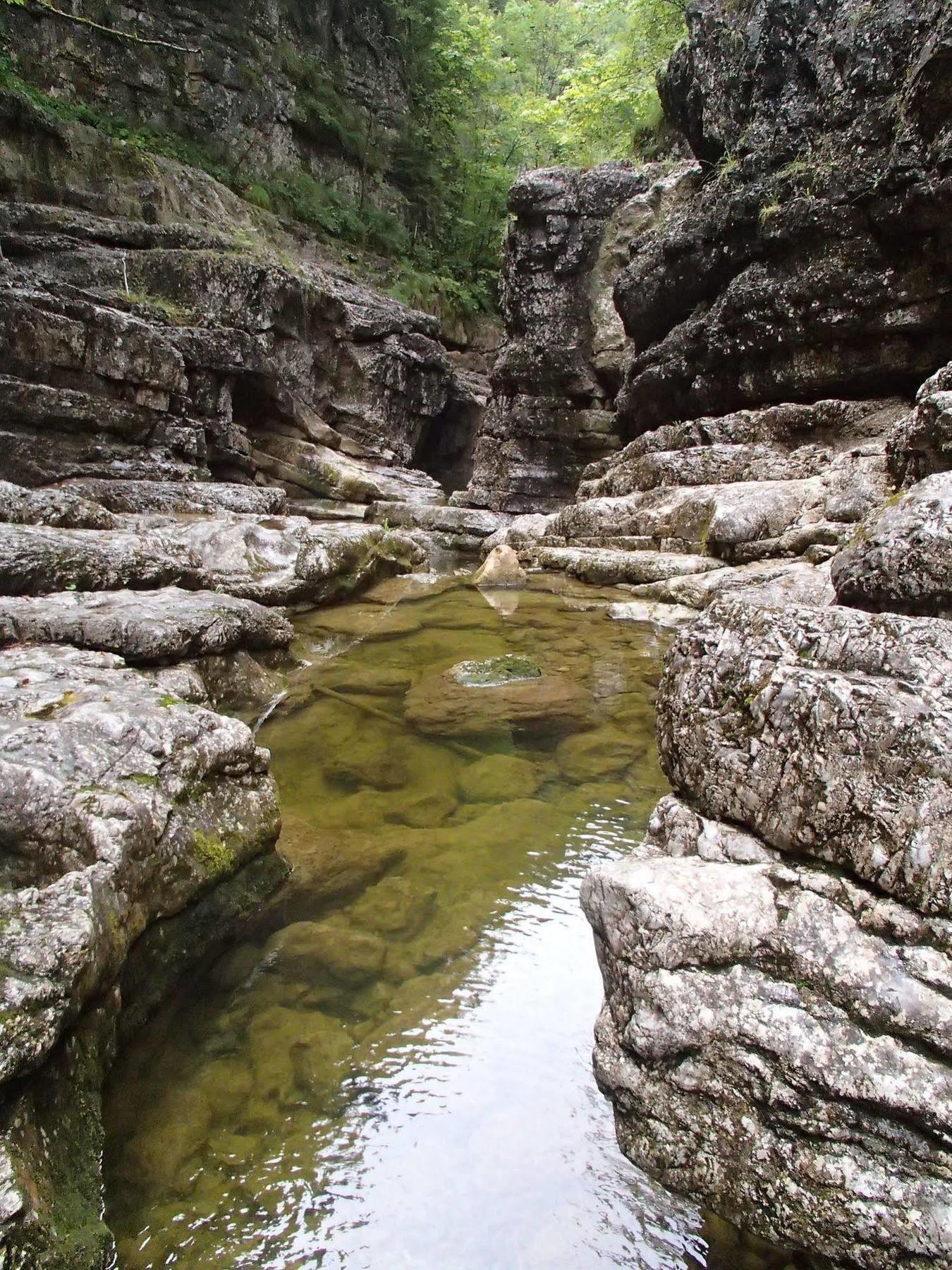 Obermayr Ebenau